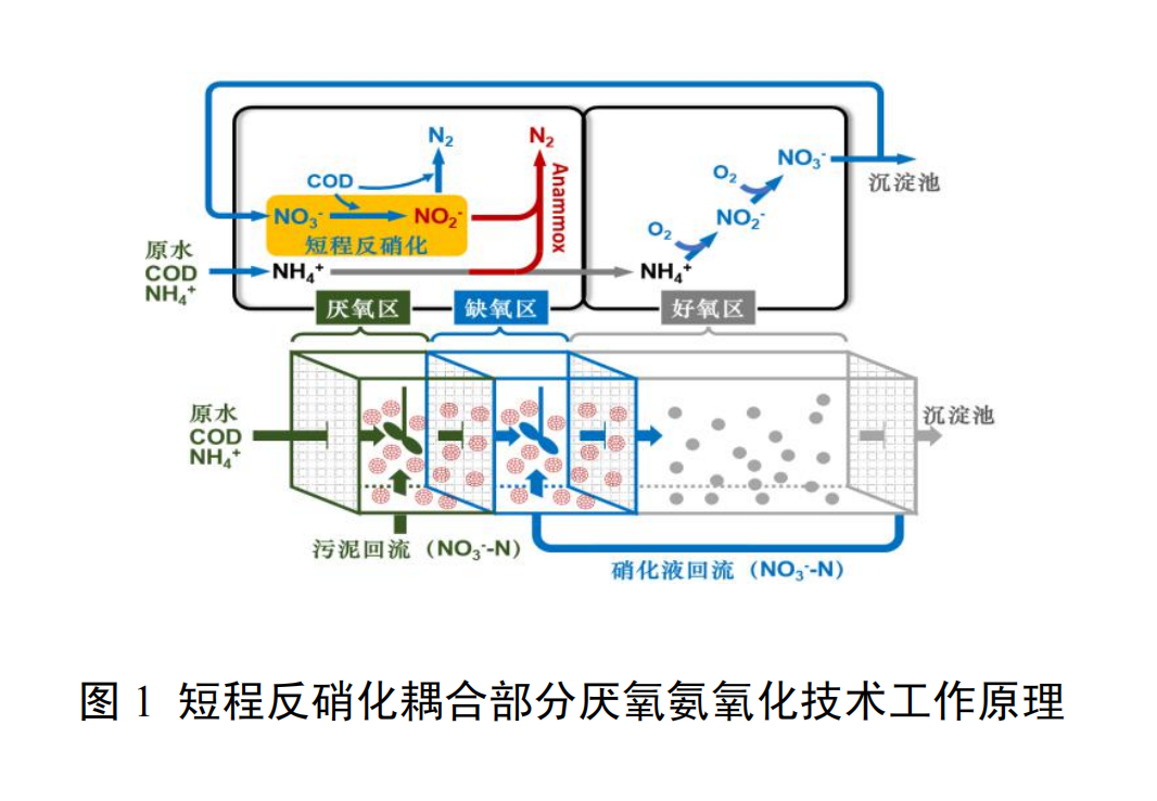 城市污水短程反硝化耦合部分厭氧氨氧化深度脫氮技術