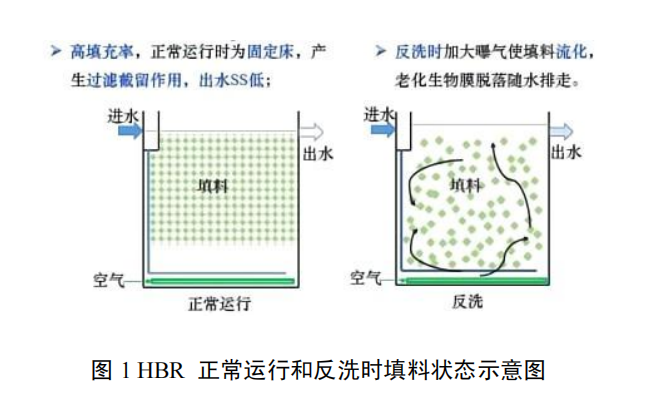高效節(jié)地型生物膜污水凈化技術裝備