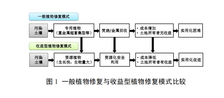 重金屬污染土壤蘆竹修復(fù)及生態(tài)板材制造技術(shù)