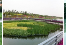 河湖水體水質(zhì)污染治理生態(tài)系統(tǒng)保護(hù)與修復(fù)