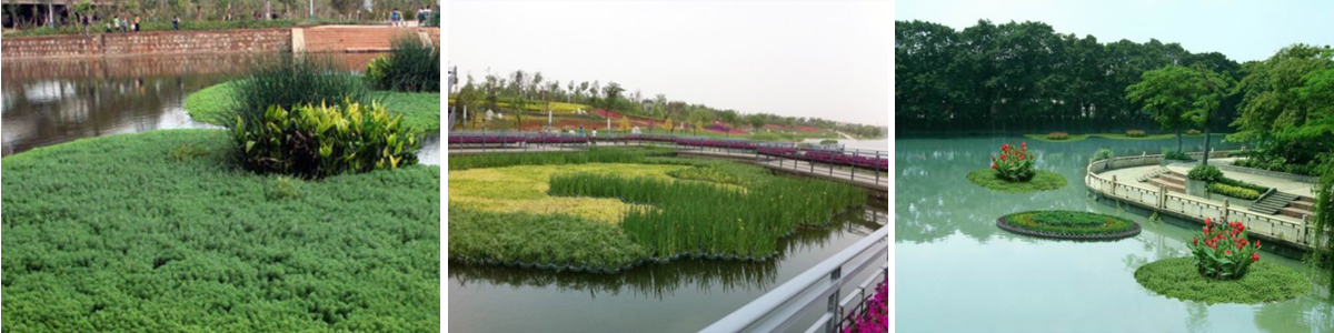 河湖水體水質污染治理生態(tài)系統(tǒng)保護與修復