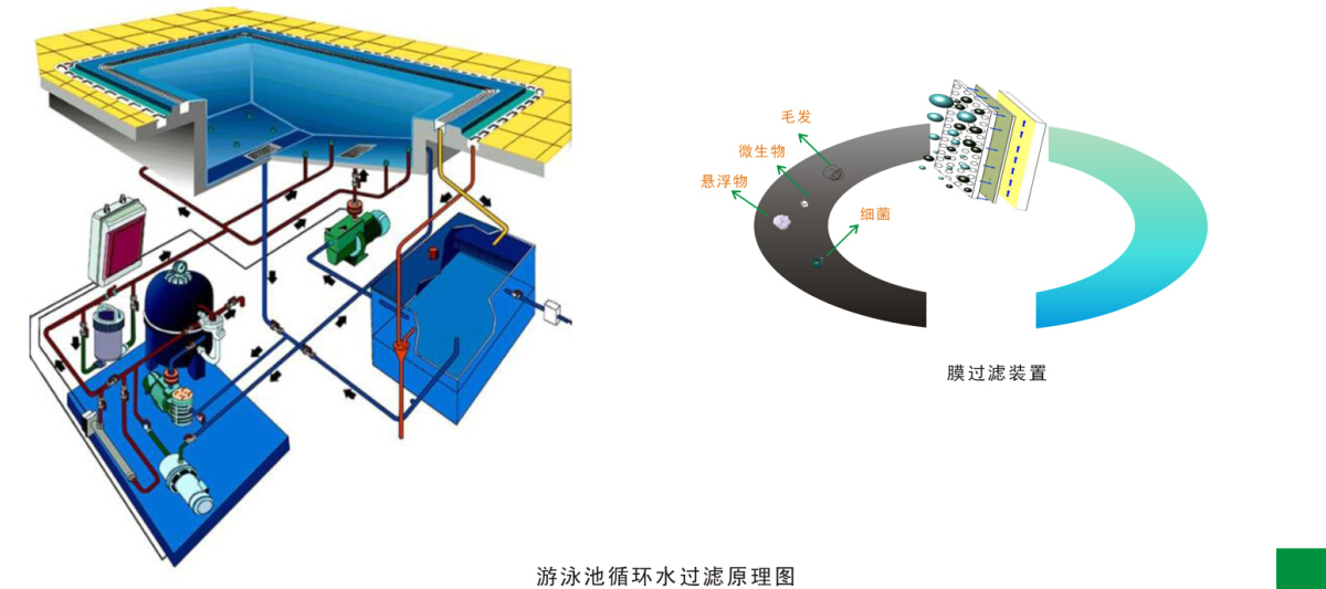 游泳池水循環(huán)凈化處理工程